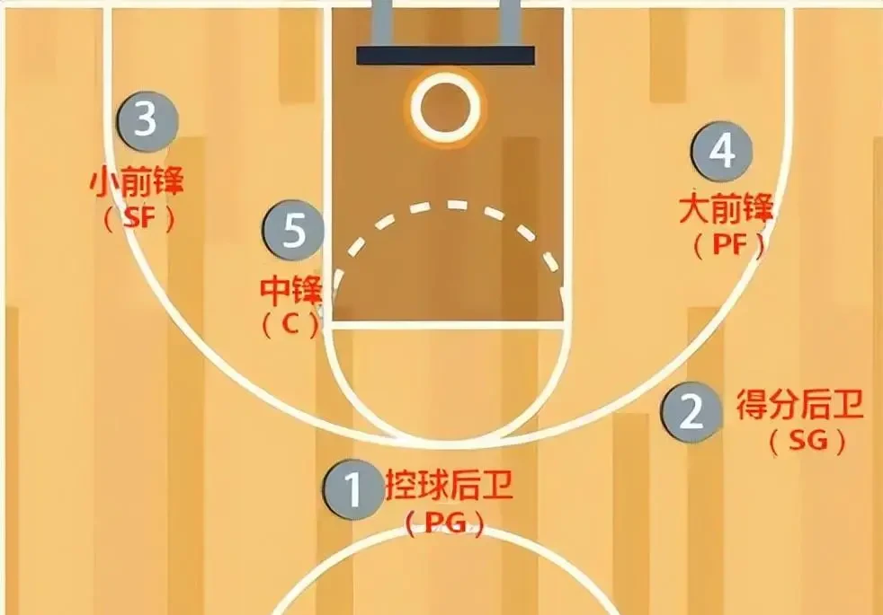 哪里有适合初学者的篮球位置入门指南